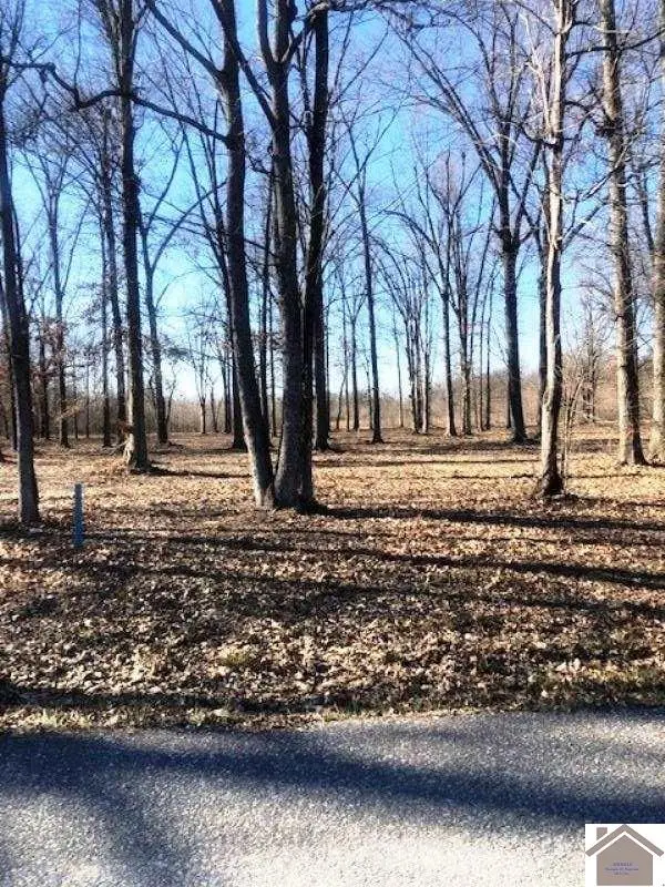 1915 Debby Dr, Paducah, KY 42003 - Image #2