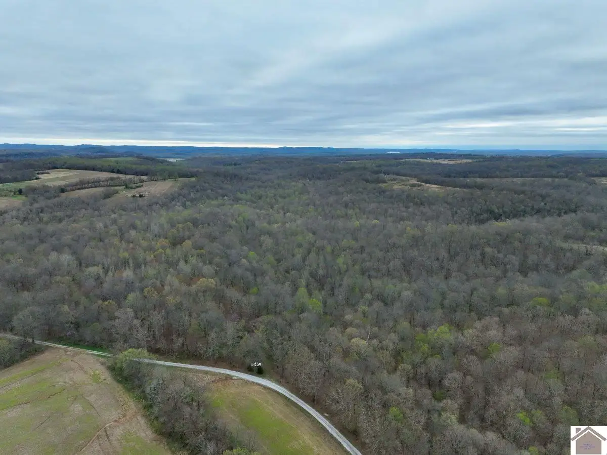 000 Love Chapel Cemetery Road, Smithland, KY 42081 - #1