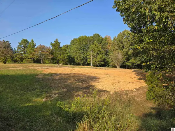 709 Hawkeye Rd, Gilbertsville, KY 42044