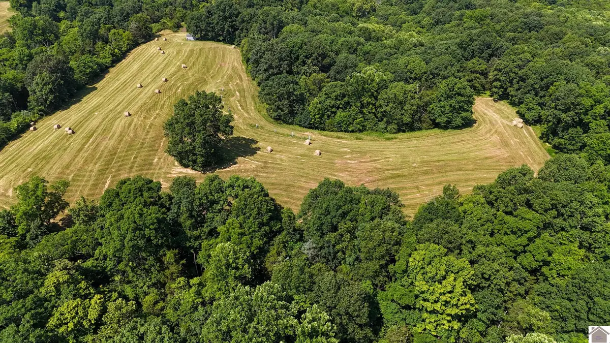 502 Old Beechwood Rd, Monterey New Columbus, KY 40359 - #1