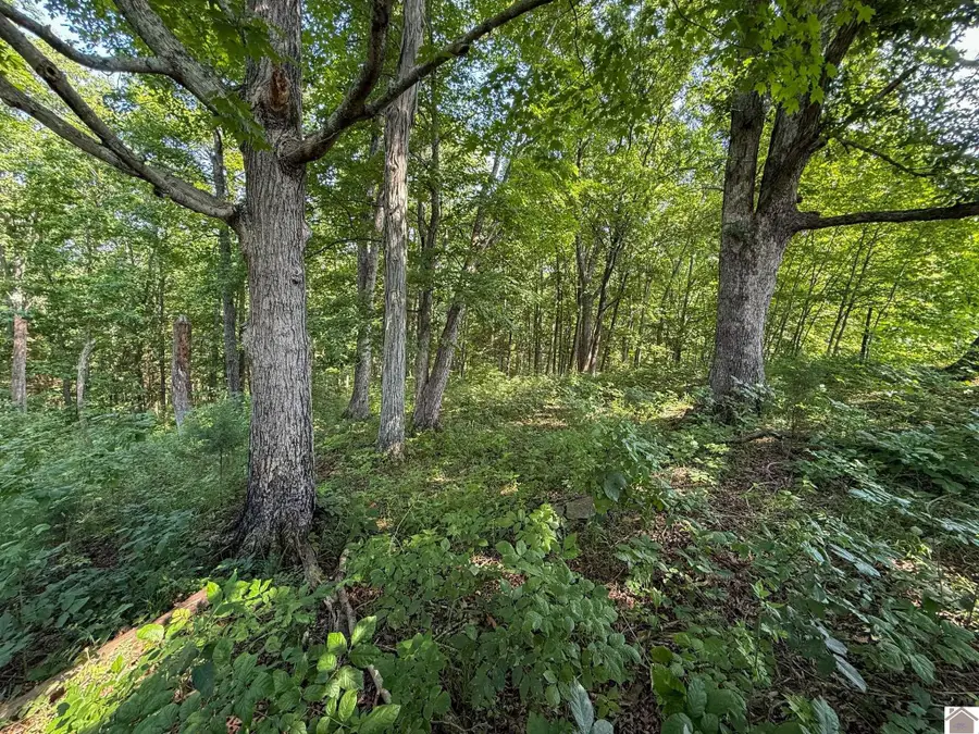 502 Old Beechwood Rd, Monterey New Columbus, KY 40359 - #2