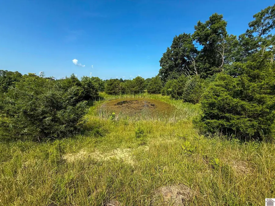 502 Old Beechwood Rd, Monterey New Columbus, KY 40359 - #3