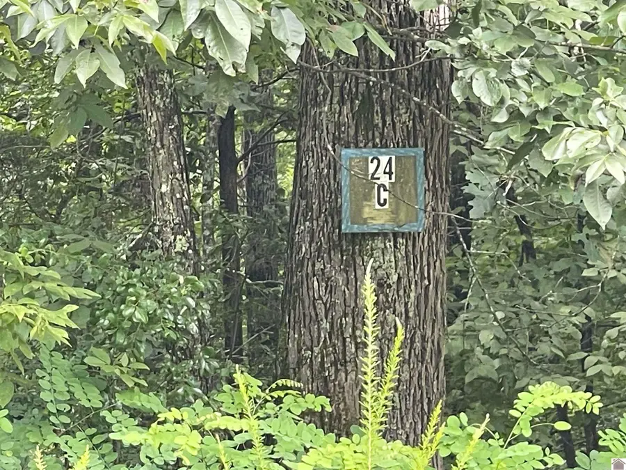 #2