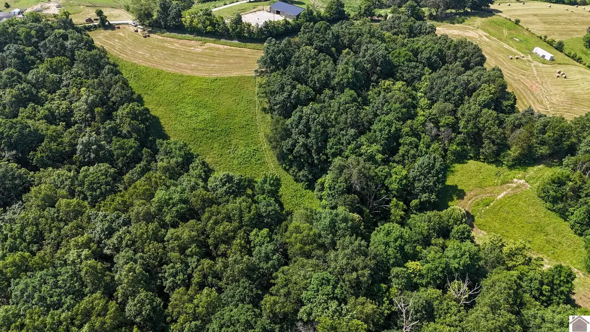 0 Old Beechwood Rd, Monterey New Columbus, KY 40359 - #1