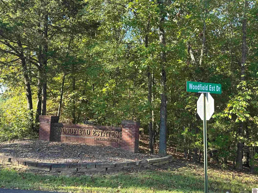 Lot 99 Woodfield Estates Drive, Cadiz, KY 42211-0000 - Image #3