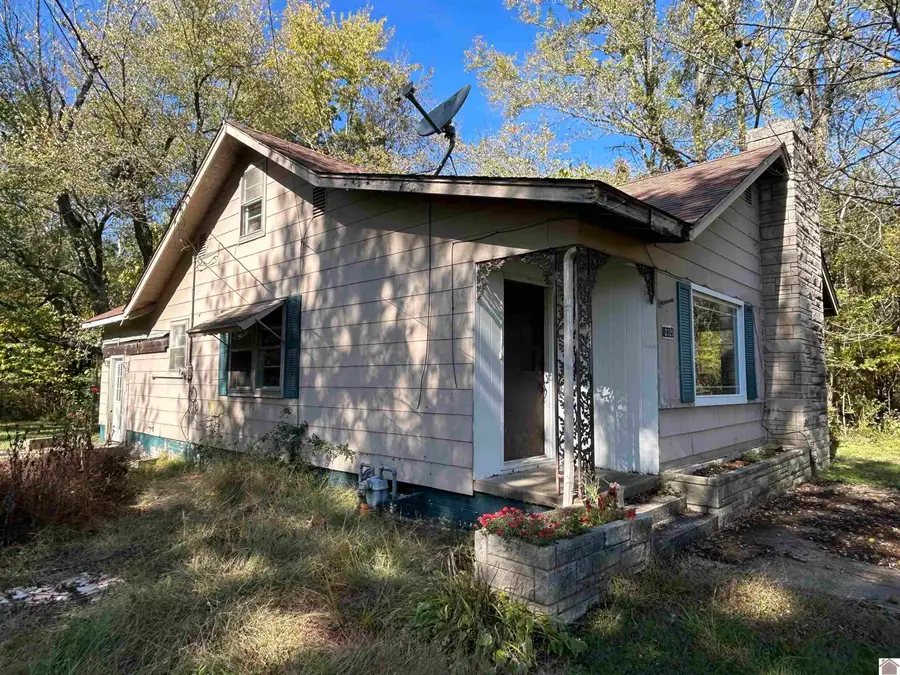 12325 State Route 131, Symsonia, KY 42082 - Image #2