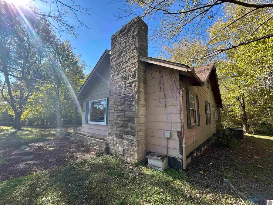 12325 State Route 131, Symsonia, KY 42082 - Image #3