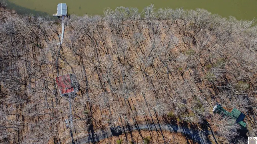 0 Woodbine Rd., Cadiz, KY 42211 - Image #2