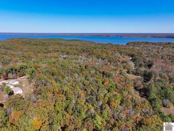 000 Jennings Trail, New Concord, KY 42076