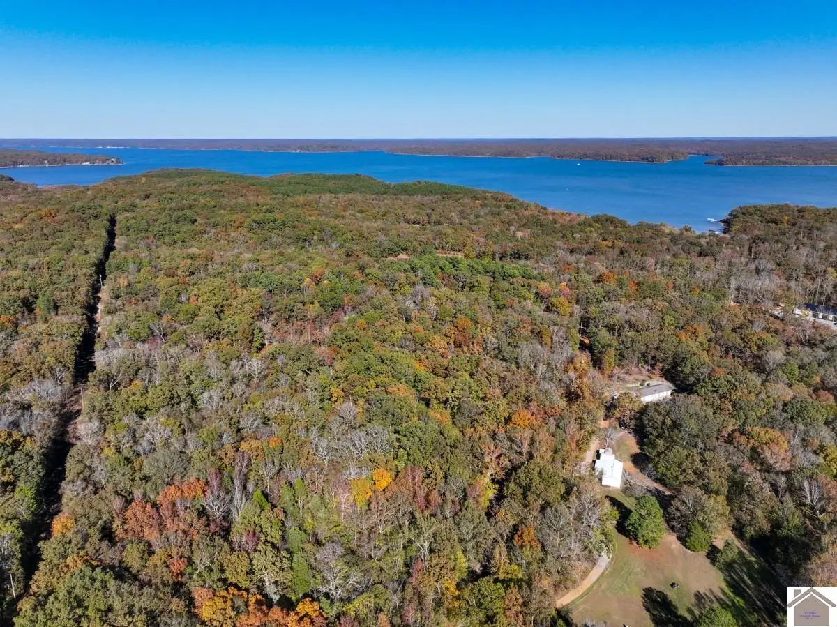 000 Jennings Trail, New Concord, KY 42076 - Image #1