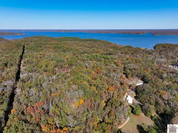 000 Jennings Trail, New Concord, KY 42076