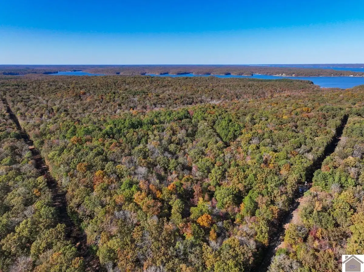 000 Jennings Trail, New Concord, KY 42076 - Image #1