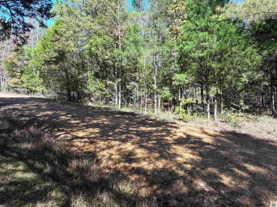 0 Smelser Dr, Murray, KY 42071 - Image #2