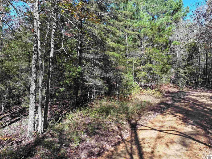 0 Smelser Dr, Murray, KY 42071 - Image #3