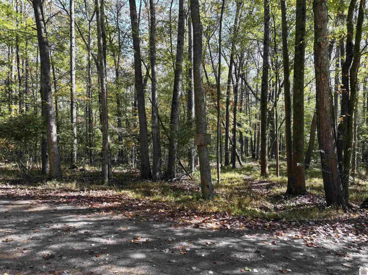 0 Kurtz Dr, Murray, KY 42071 - Image #1