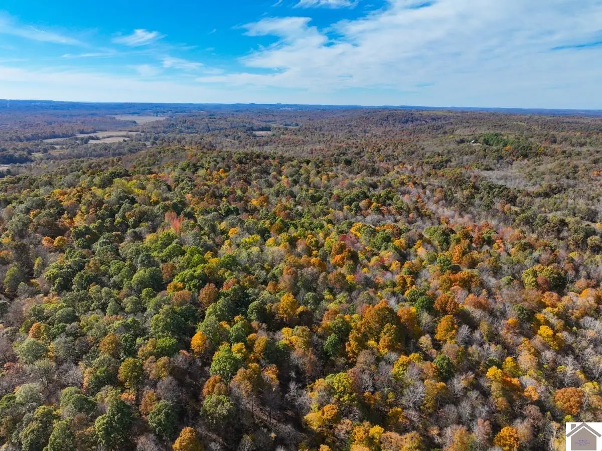 000 Littlefield Road, Princeton, KY 42445 - Image #1