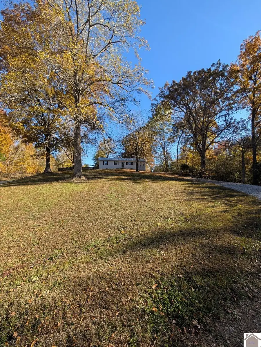 11774 Hopkinsville Rd, Princeton, KY 42445 - #3