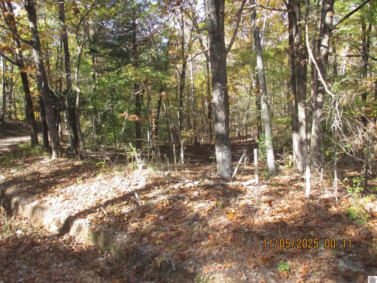 00 Atkins Cemetery Rd, Cadiz, KY 42211 - Image #1