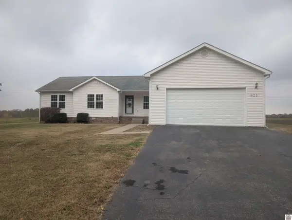821 Ferren Rd, Ledbetter, KY 42058