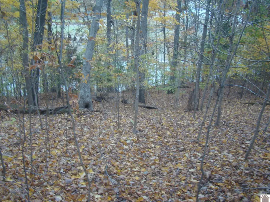 10 Shiloh Lane, Cadiz, KY 42211 - Image #2