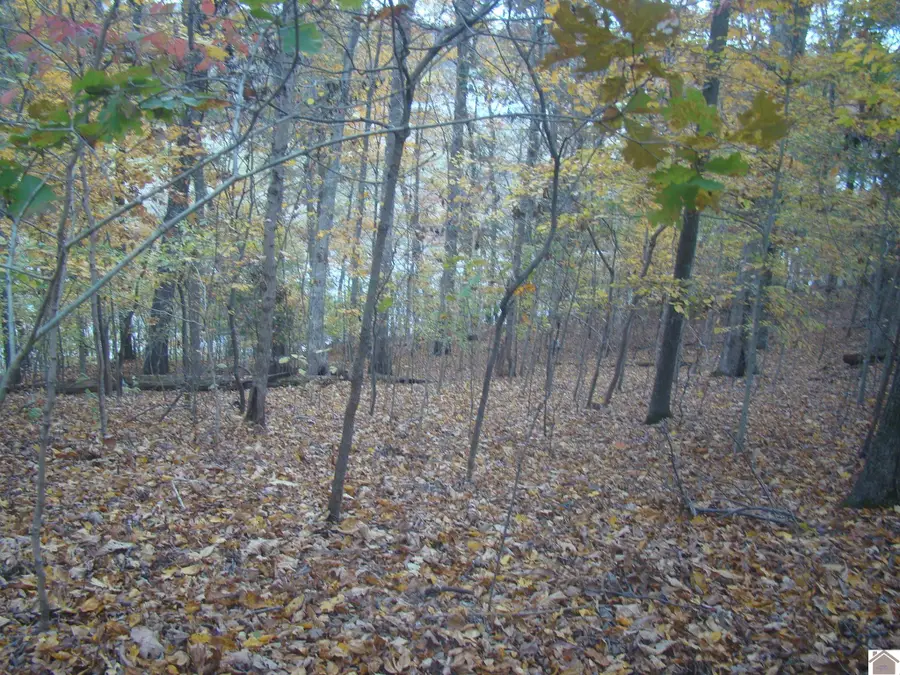 10 Shiloh Lane, Cadiz, KY 42211 - Image #3