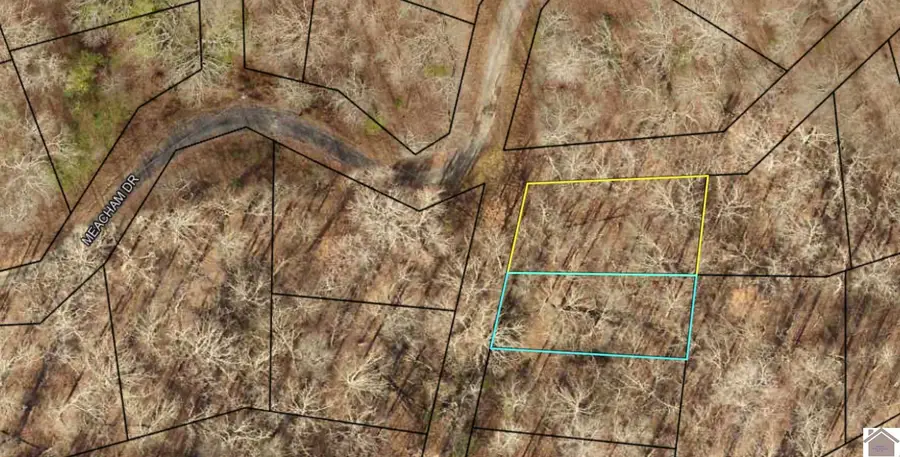 000 Meacham Dr, New Concord, KY 42076 - Image #2