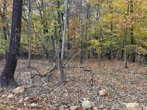 00 Miller Ln, Gilbertsville, KY 42044