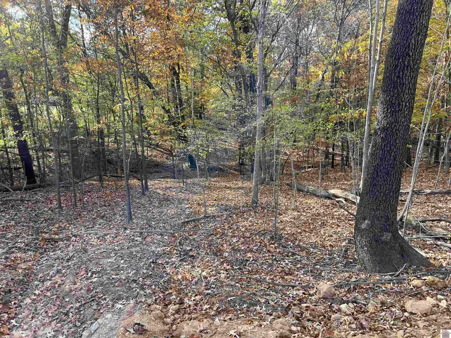 00 Miller Ln, Gilbertsville, KY 42044 - Image #2