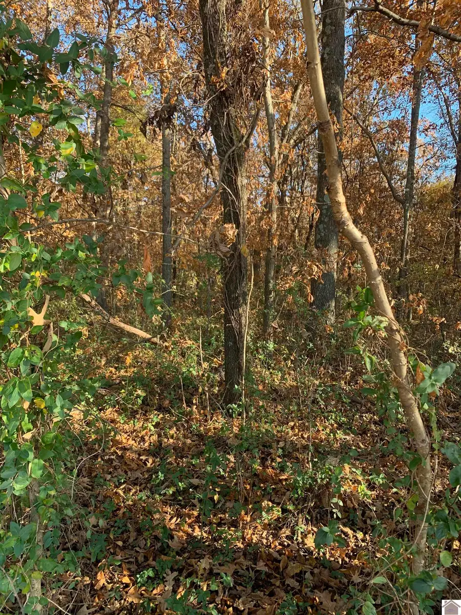 000 Crawford Lake Road, Kevil, KY 42053 - Image #3