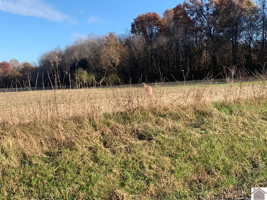 000 Gholson Road, West Paducah, KY 42086 - Image #2