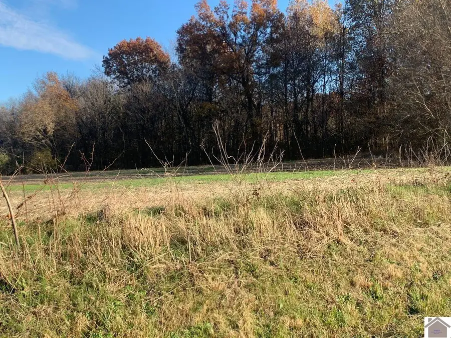 000 Gholson Road, West Paducah, KY 42086 - Image #3