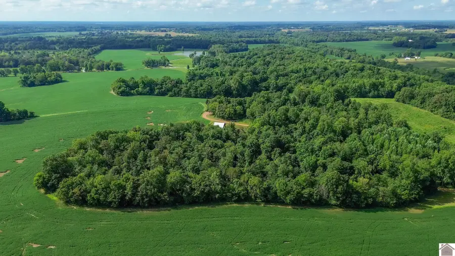 2500 Biggs Road, Kevil, KY 42053 - Image #3