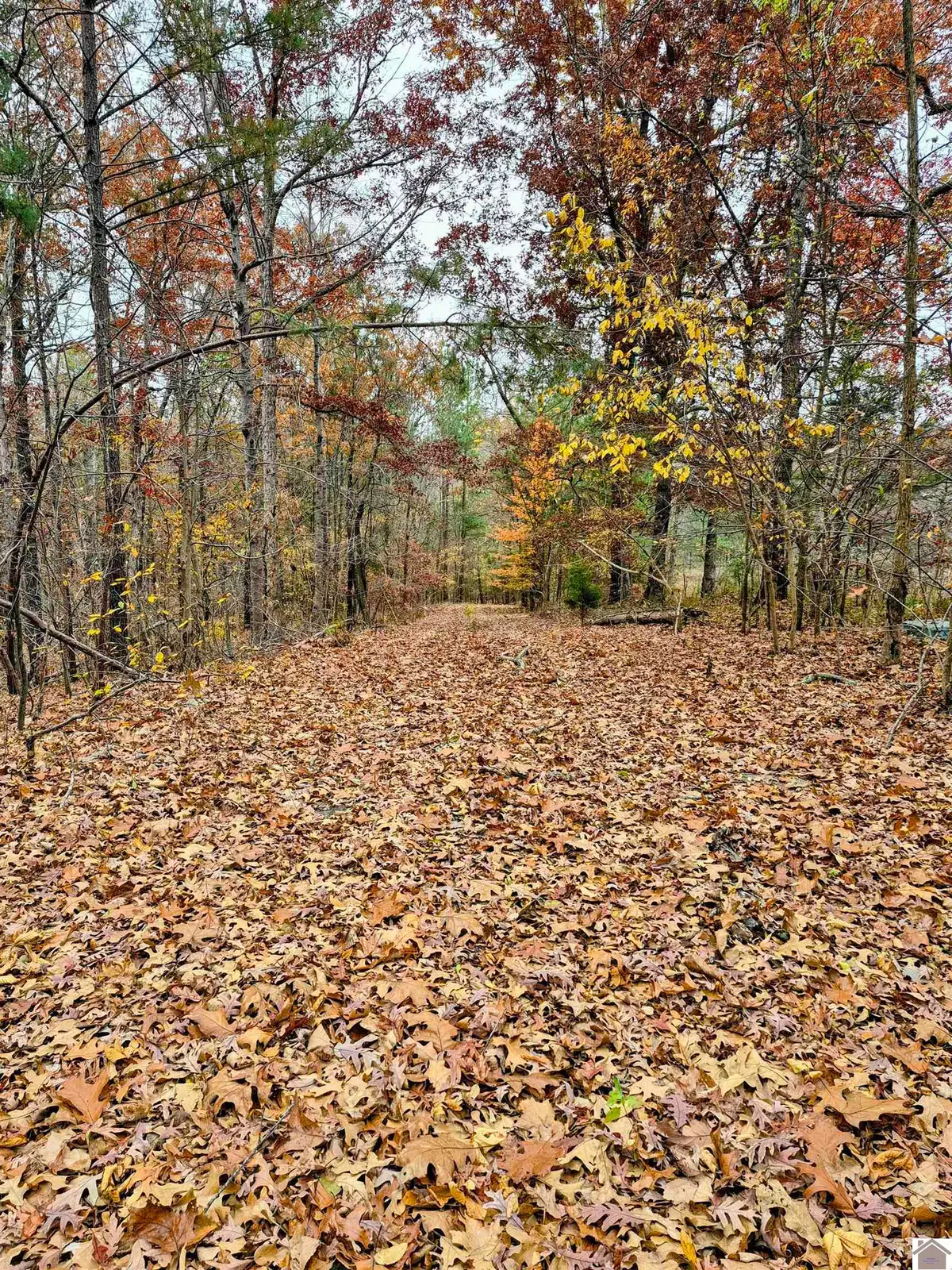 Bear Run, Benton, KY 42025 - Image #1