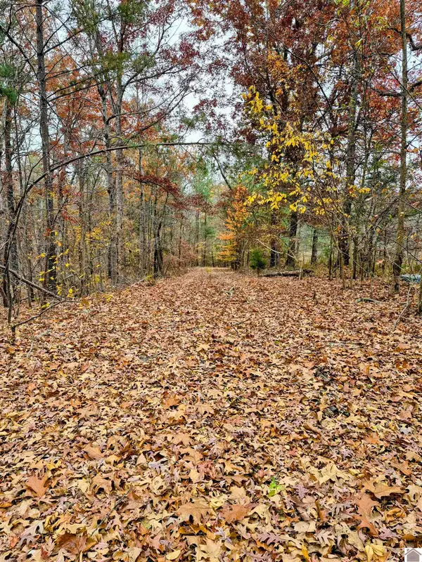 Bear Run, Benton, KY 42025