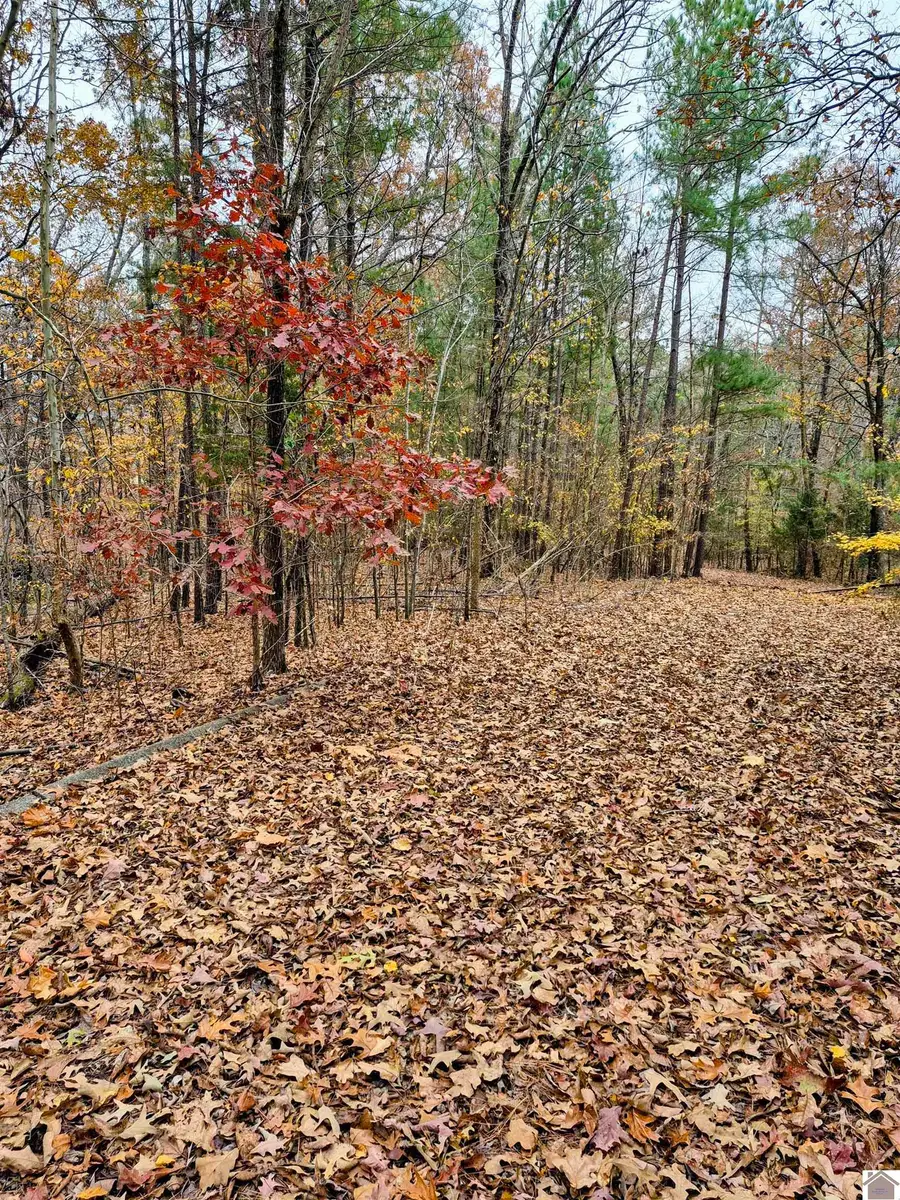 Bear Run, Benton, KY 42025 - Image #2