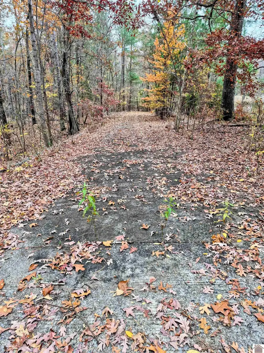 Bear Run, Benton, KY 42025 - Image #3