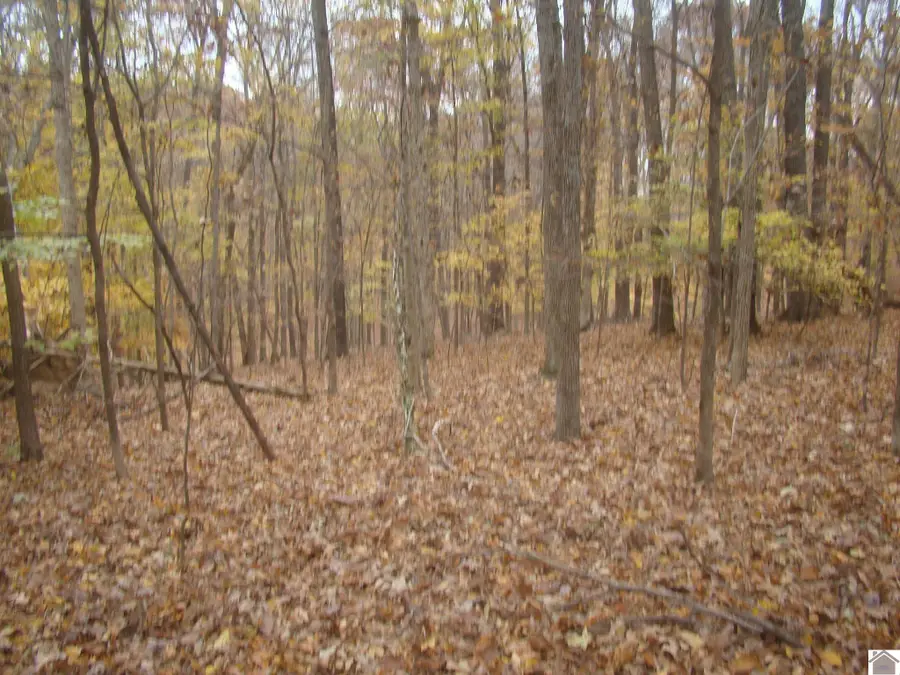 25 Woodfield States, Cadiz, KY 42211 - Image #3