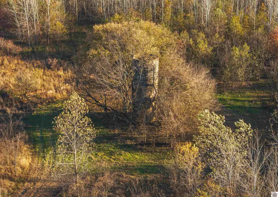 Wolfe Island Road, Clinton, KY 42031 - Image #2