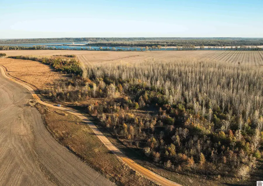 Wolfe Island Road, Clinton, KY 42031 - Image #3