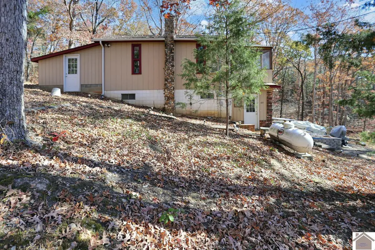 60 Fogarty Drive, New Concord, KY 42071 - Image #1