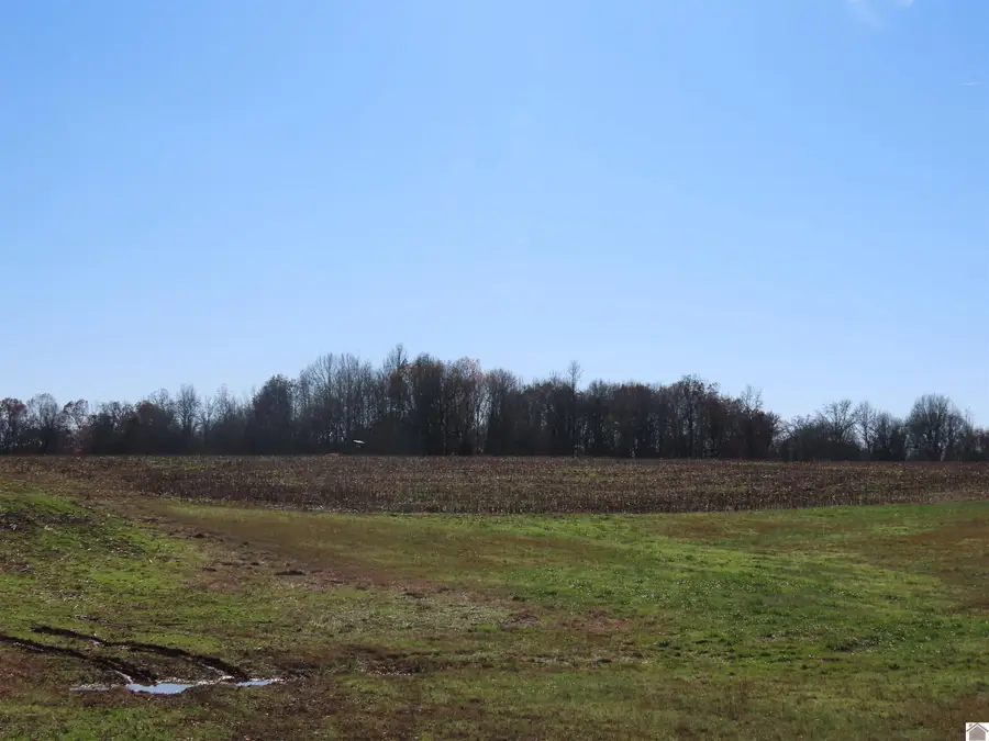 00 Boyd Rd, Wingo, KY 42088 - Image #2