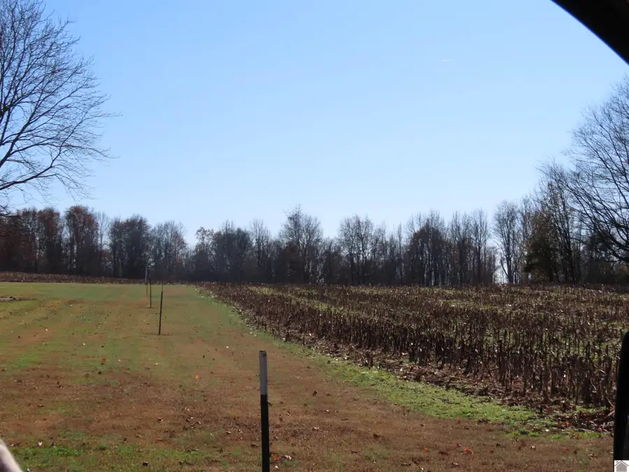 00 Boyd Rd, Wingo, KY 42088 - Image #3
