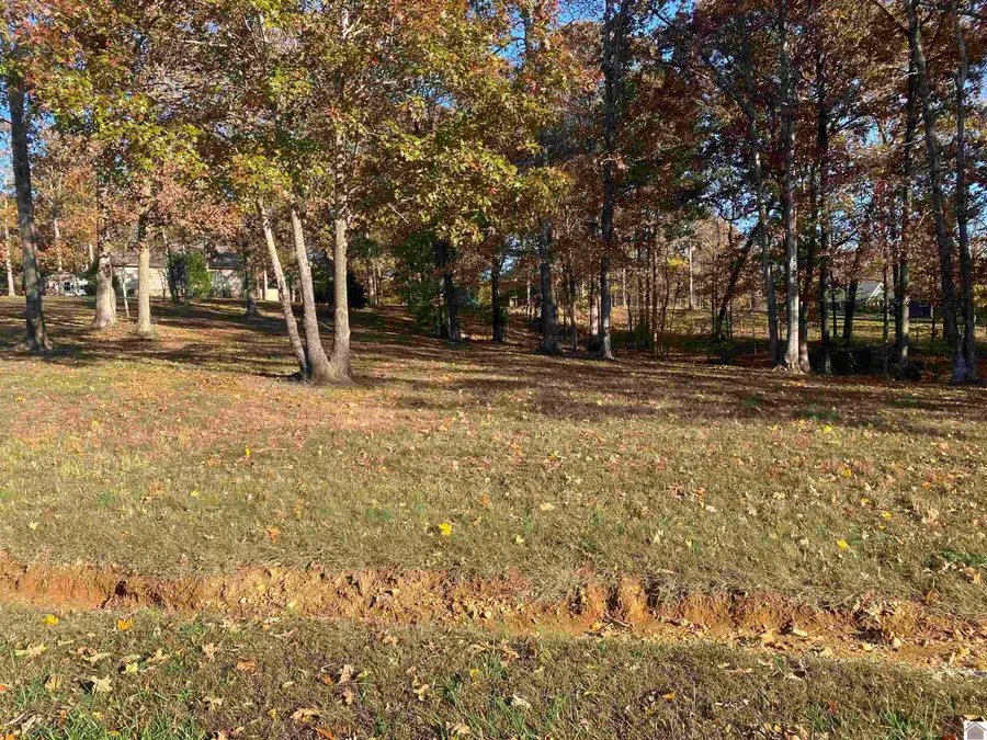 025 Heritage Trace, Cadiz, KY 42211 - Image #2