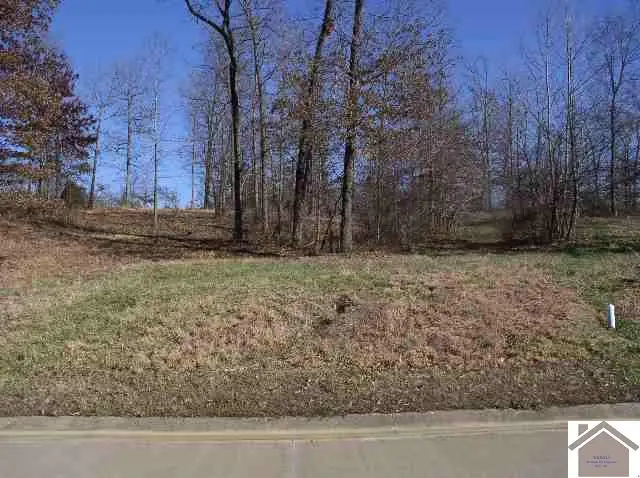 Lot 62 Fairway Drive, Benton, KY 42025 - Image #2