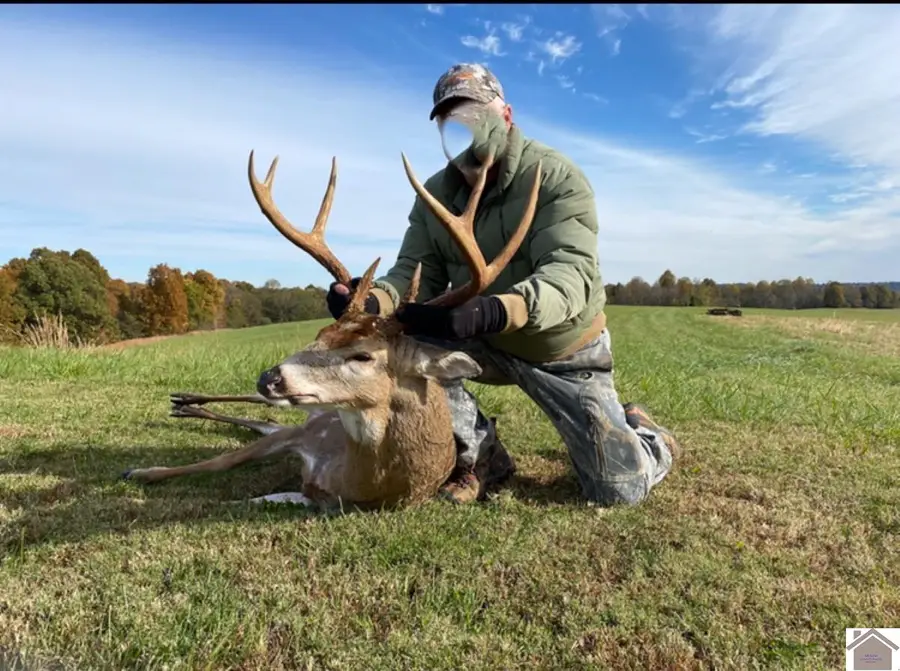 1131 A. T. Crider Road, Marion, KY 42064 - Image #3