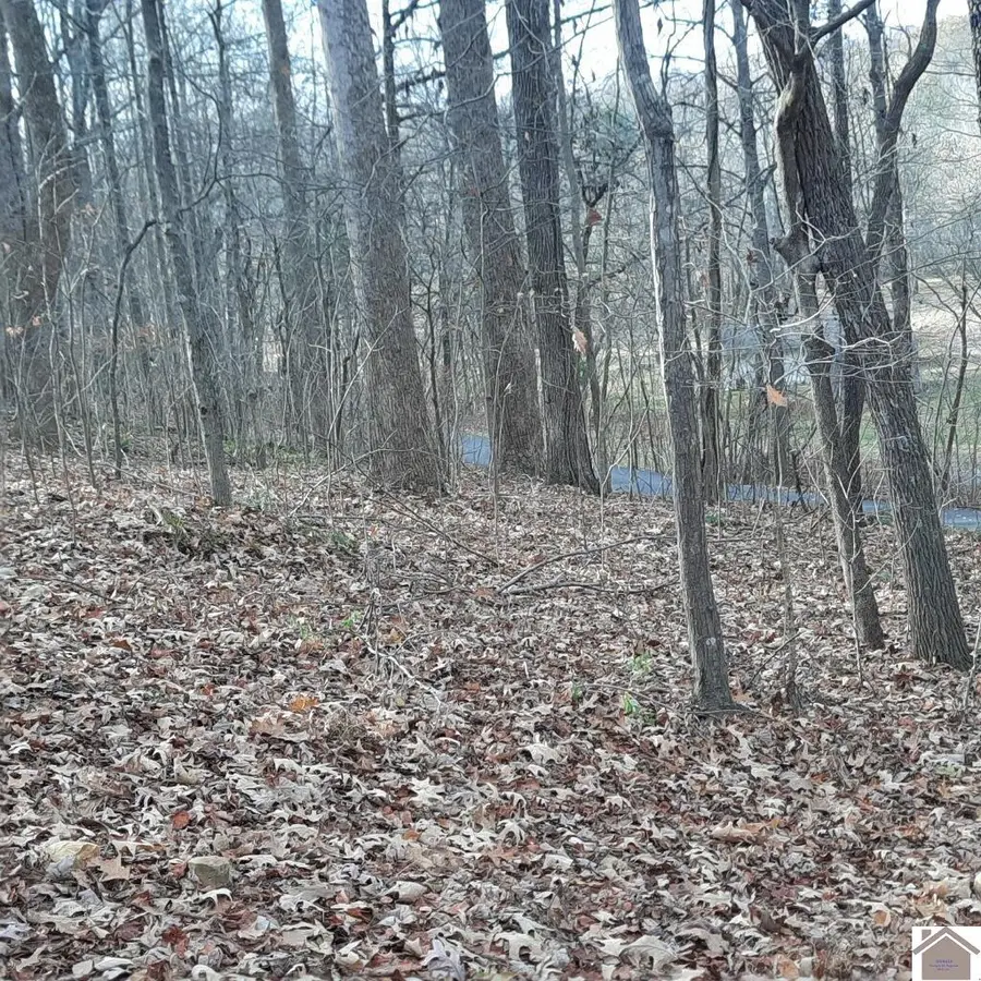 Lot #8 Harbor Drive, Eddyville, KY 42038 - Image #2