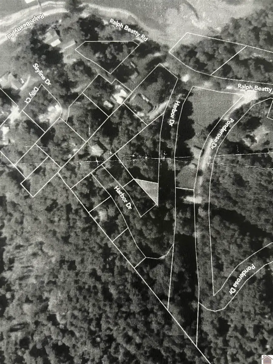 Lot #8 Harbor Drive, Eddyville, KY 42038 - Image #3