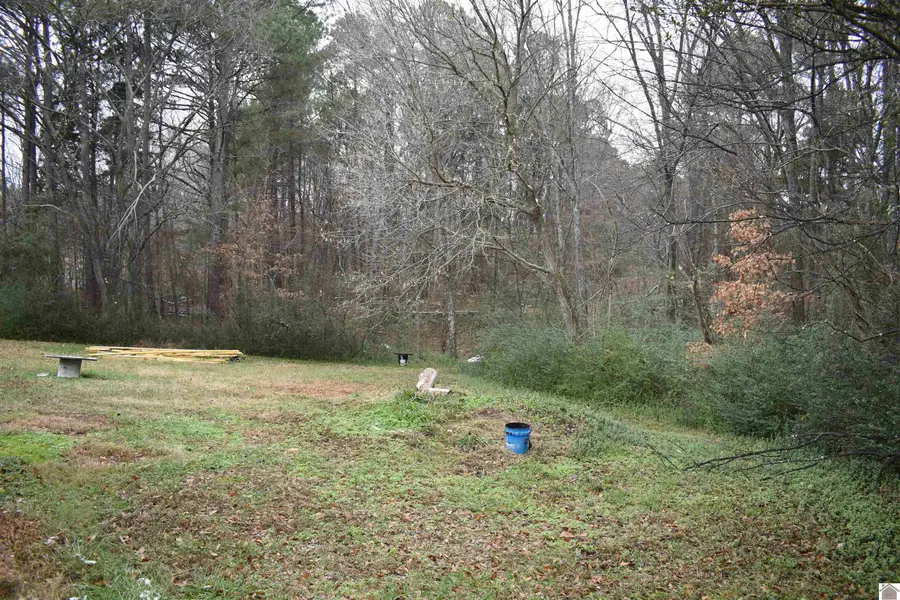 86 Campisi Rd, Benton, KY 42025 - Image #3