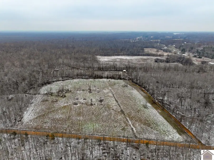 000 Walter Jennings Road, Benton, KY 42025 - Image #2