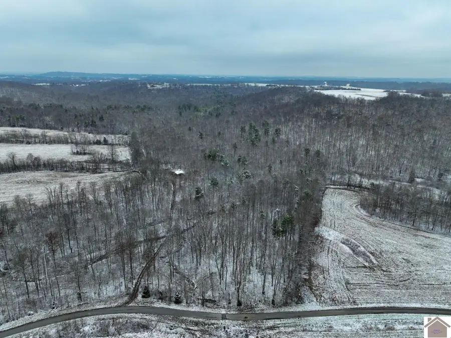 1012 Crayne Cemetery Road, Marion, KY 42064 - Image #2